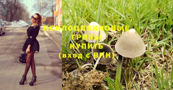 ПСИЛОЦИБИНОВЫЕ ГРИБЫ Алексеевка