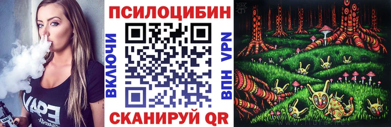 ОМГ ОМГ маркетплейс  закладка  Черкесск  Псилоцибиновые грибы мицелий 