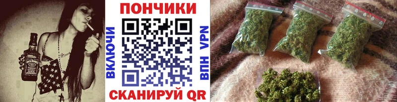 Бошки марихуана конопля  ссылка на мегу сайт  Черкесск 